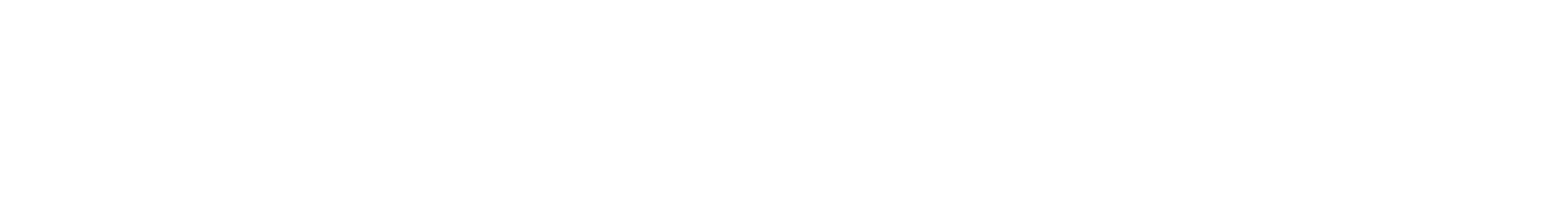 Flex Mobility